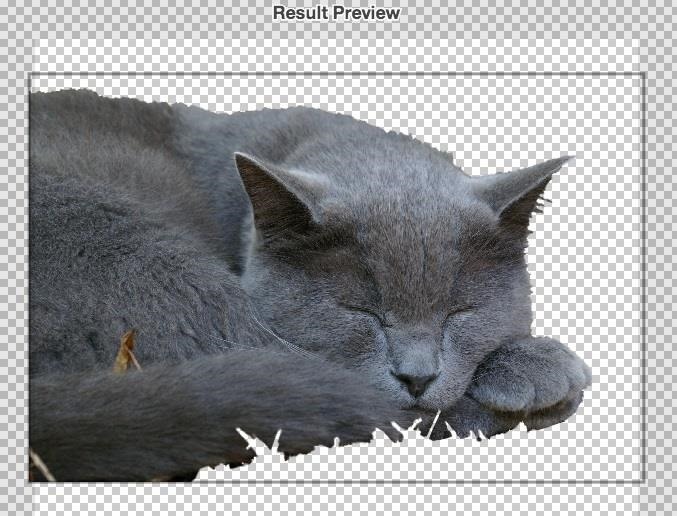 The Quickest & Easiest Way to Remove Backgrounds from Images Without Using Photoshop