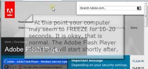 Install the Adobe Flash Player on Internet Explorer 8