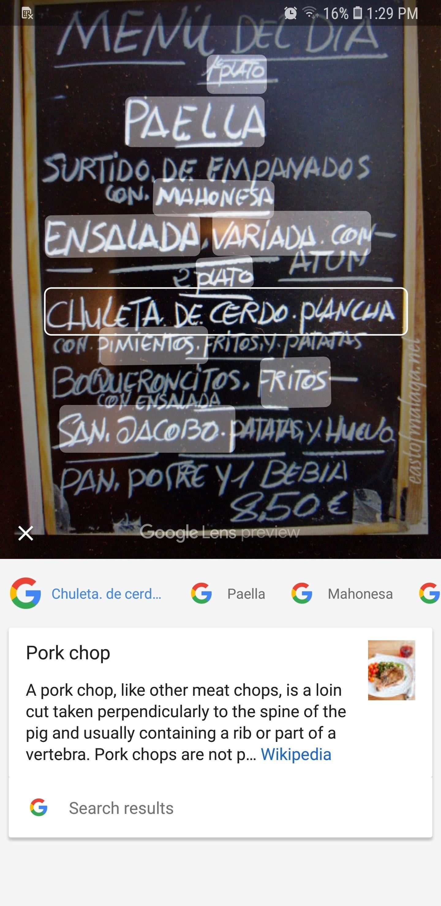 How to Use Google Lens to Translate Text from Books, Websites & More in Google Photos