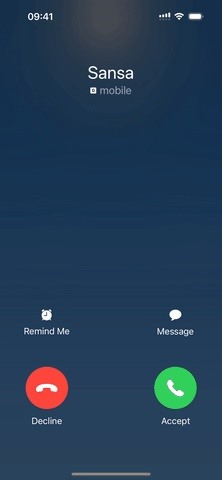 Your iPhone's Phone App Has a Hidden Call Feature That's Useful AF