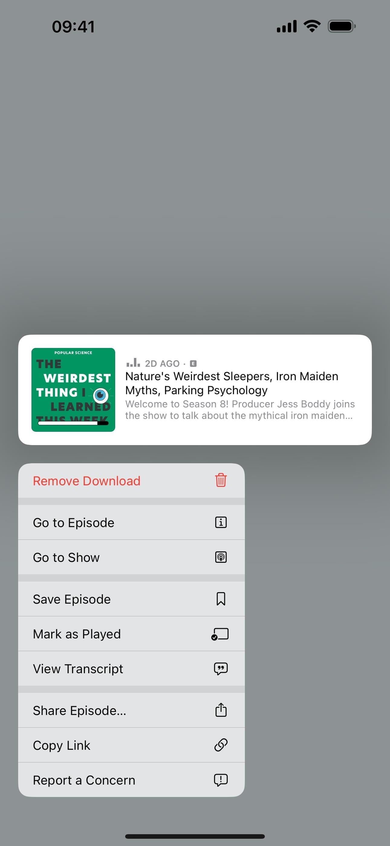 View Podcast Transcripts on Your iPhone to View, Search, and Navigate the Audio