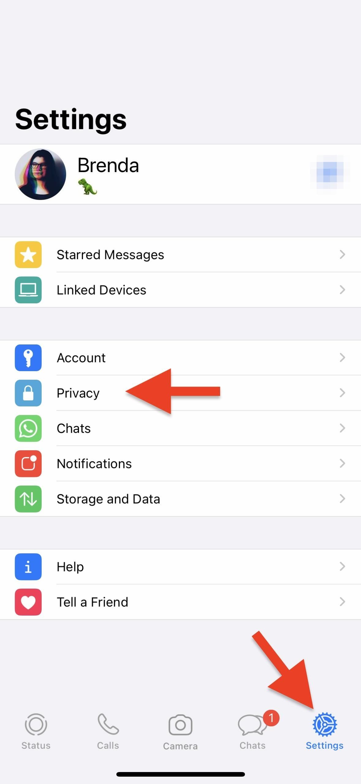Hide Your WhatsApp Online and Last Seen Statuses from Everyone or Just Some of Your Contacts