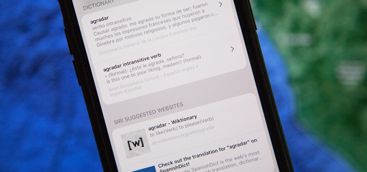 Add Foreign Language Dictionaries to Your iPhone to Look Up Definitions Faster