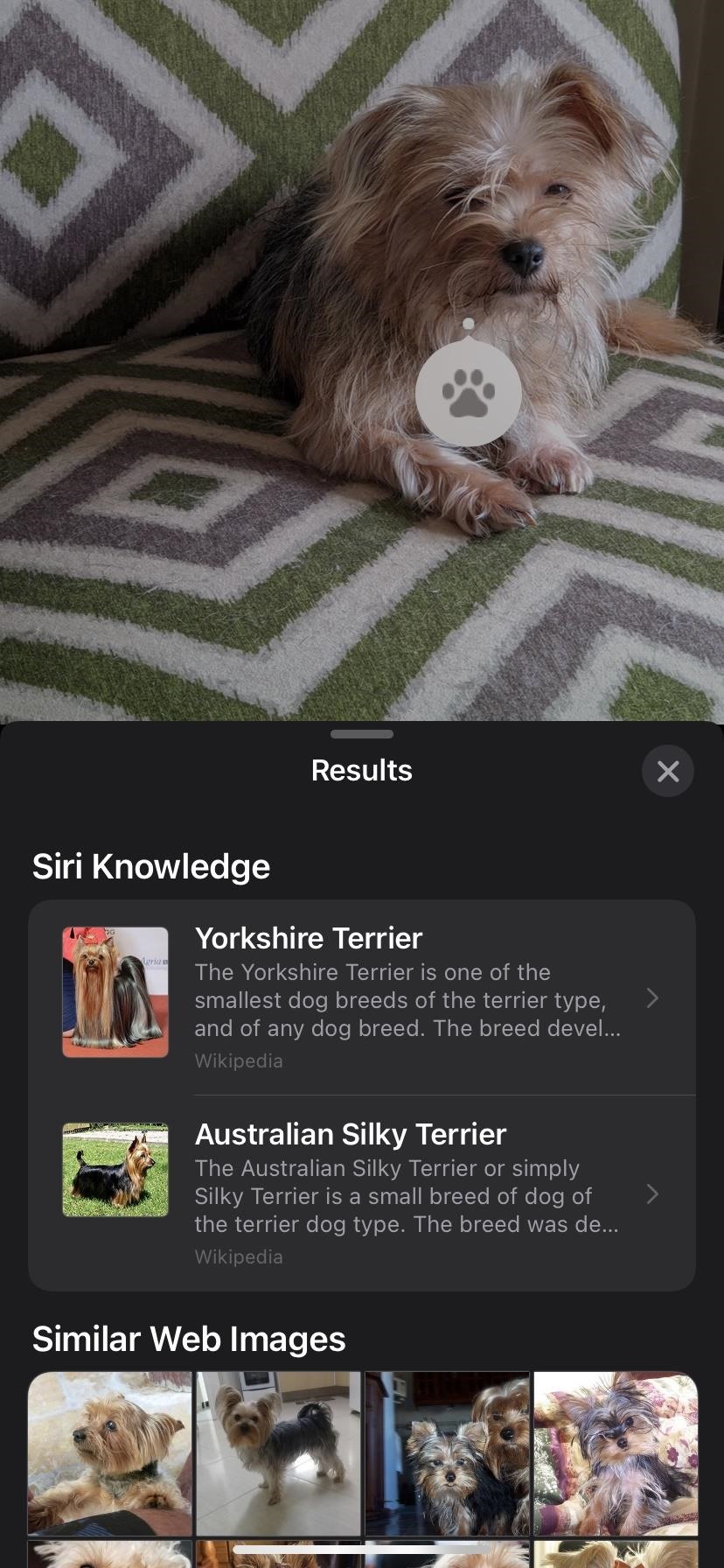 Use iOS 15's Live Text Feature to Scan Text in Photos and Online Images to Copy, Share, Translate, Look Up, and More