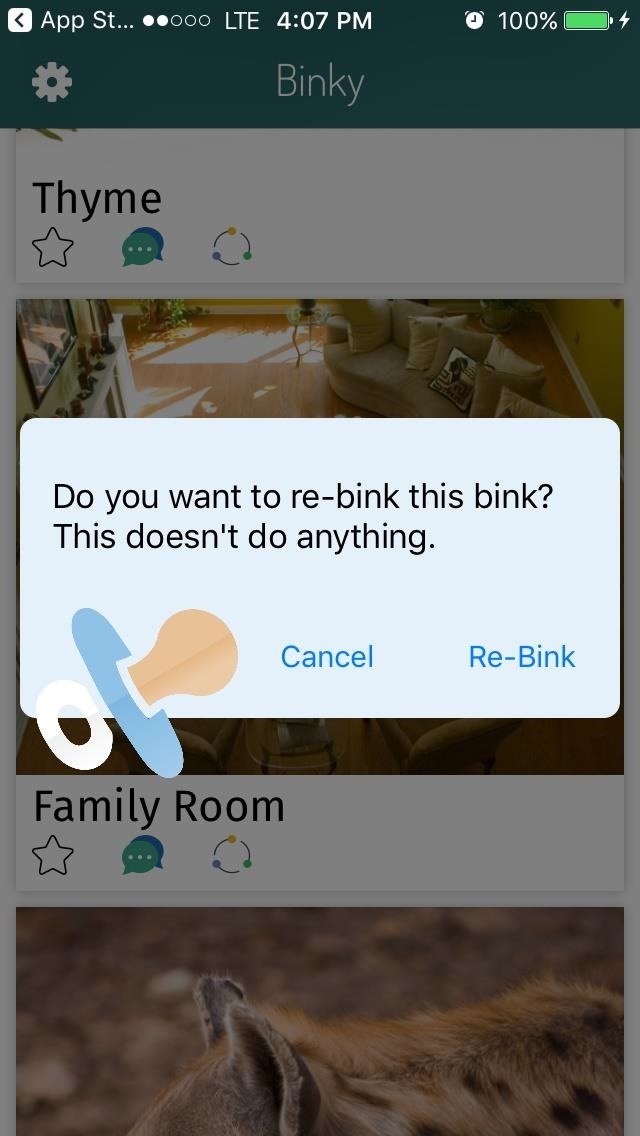 Schrödinger's App — with Binky, Everything & Nothing Is Real