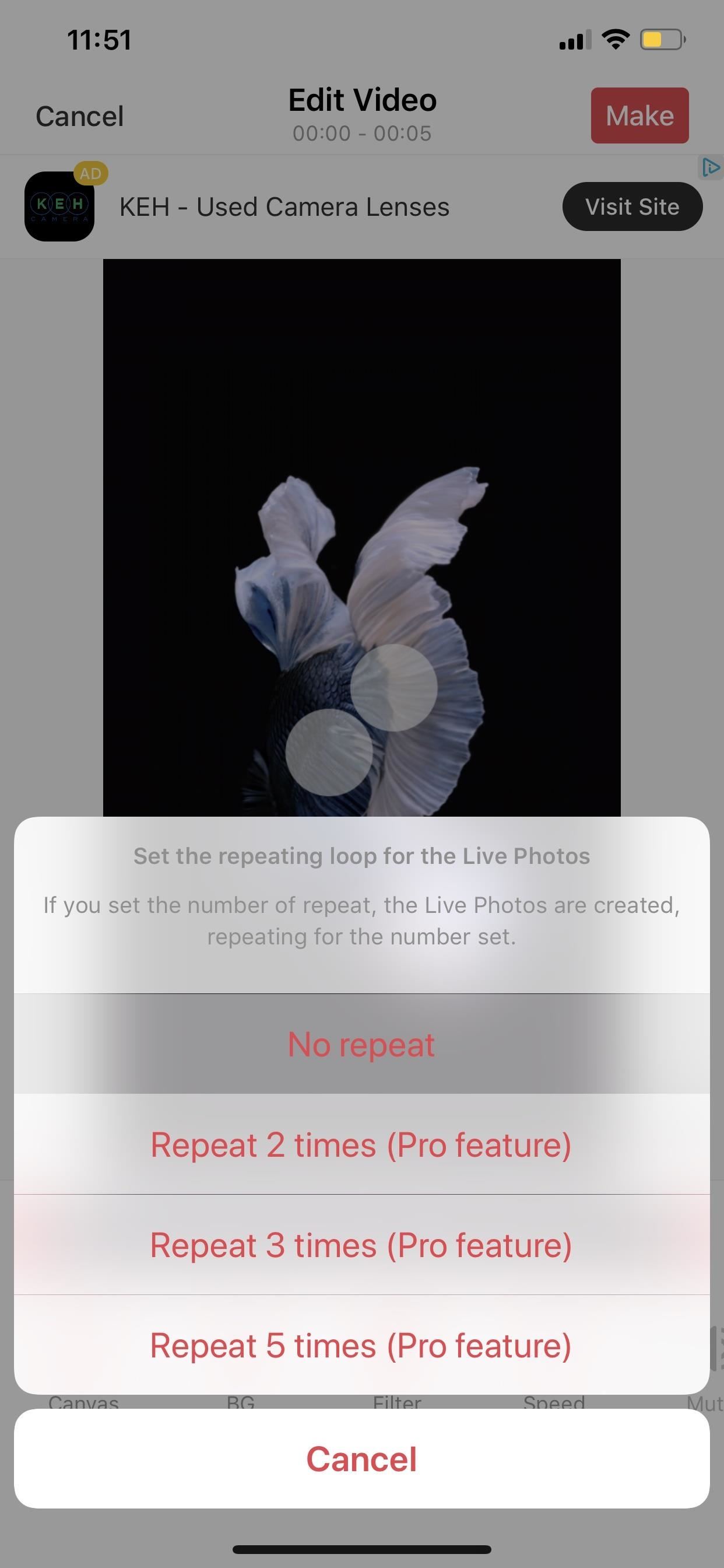 How to Get Apple's Live Fish Wallpapers Back on Your iPhone