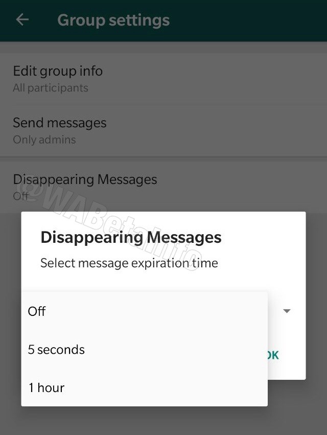 WhatsApp Betas Let You Send Self-Destructing WhatsApp Messages to Cover Your Tracks