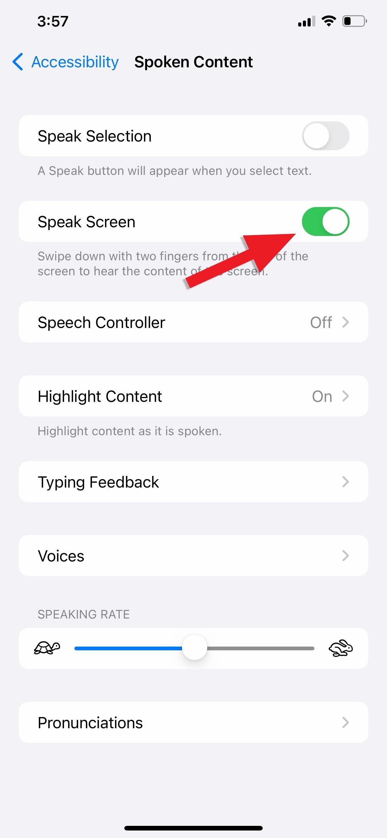 Your iPhone Has a Hidden Text-to-Speech Tool That'll Read Articles, Books, News, and Other Text Out Loud to You