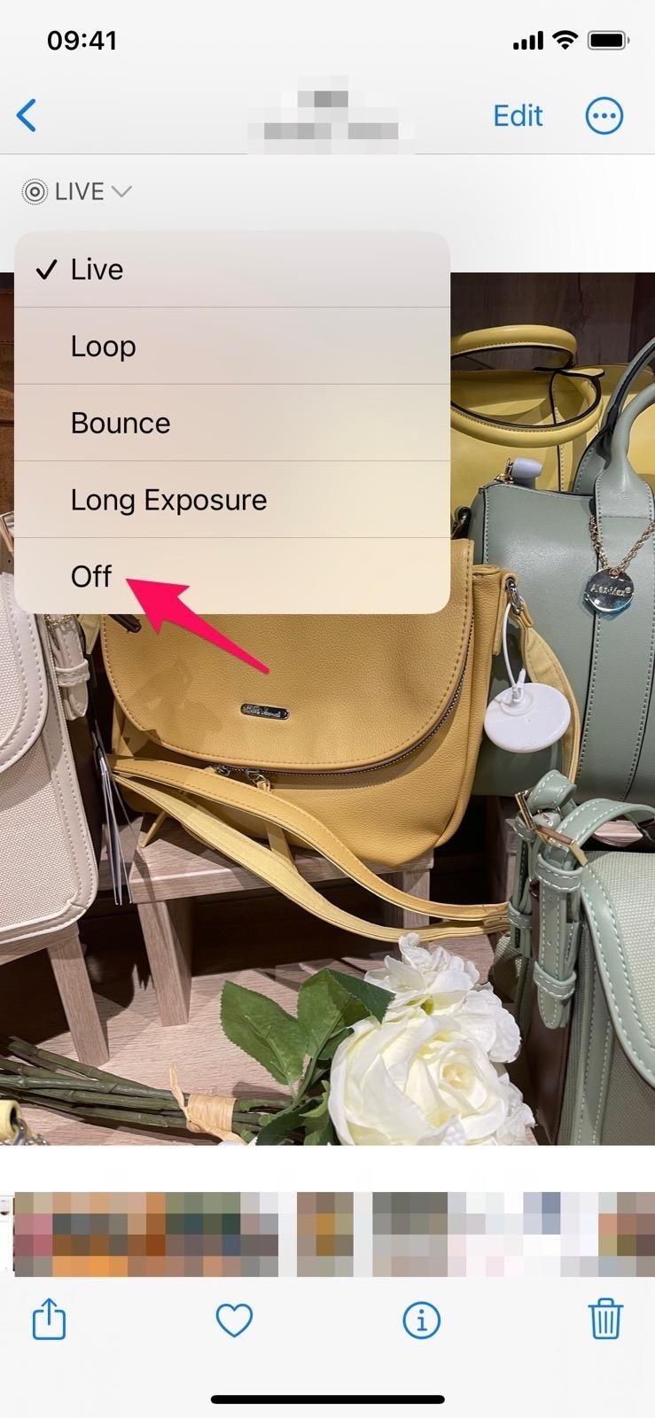 Apple Photos Has 20 New Features for iPhone That Make Your Life Easier