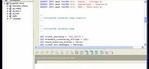 Backup your PostgreSQL database server with DreamCoder