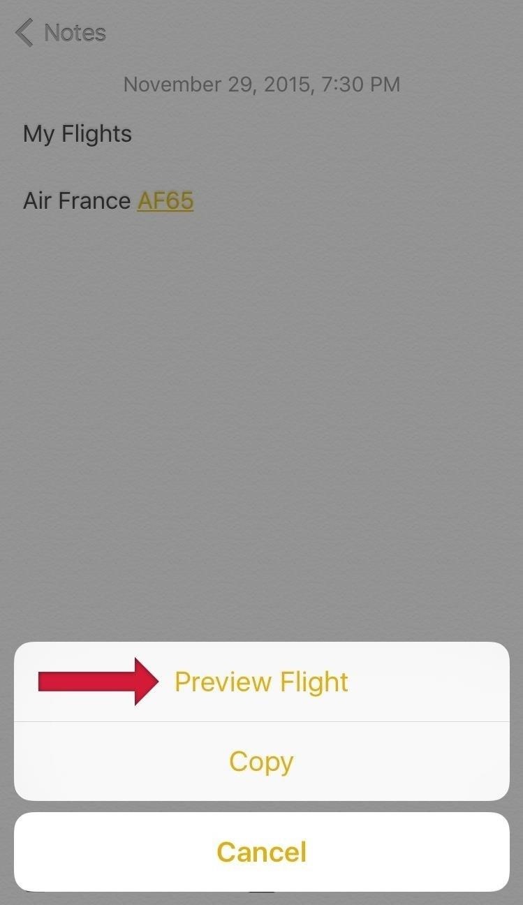 The Fastest Way to Get Detailed Flight Info on Your iPhone & Mac