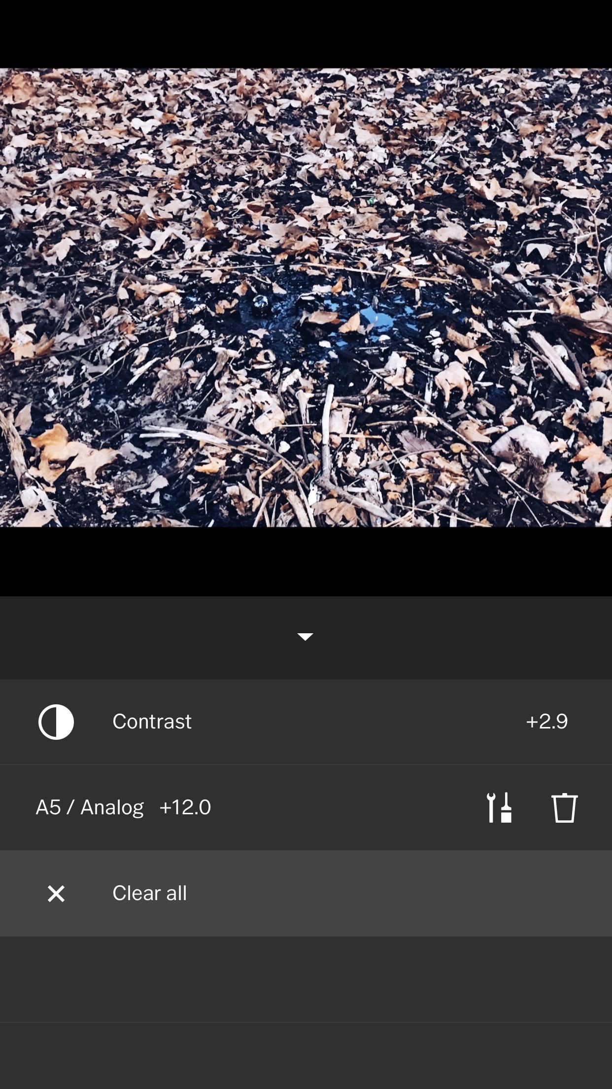 VSCO 101: How to Use Presets (or Filters) on Your Photos