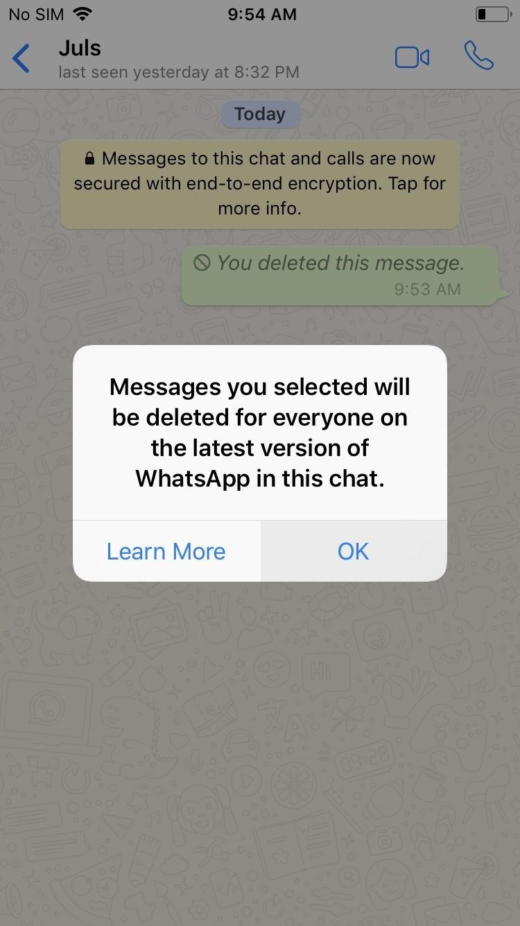 WhatsApp 101: How to Delete Sent Messages on iPhone or Android