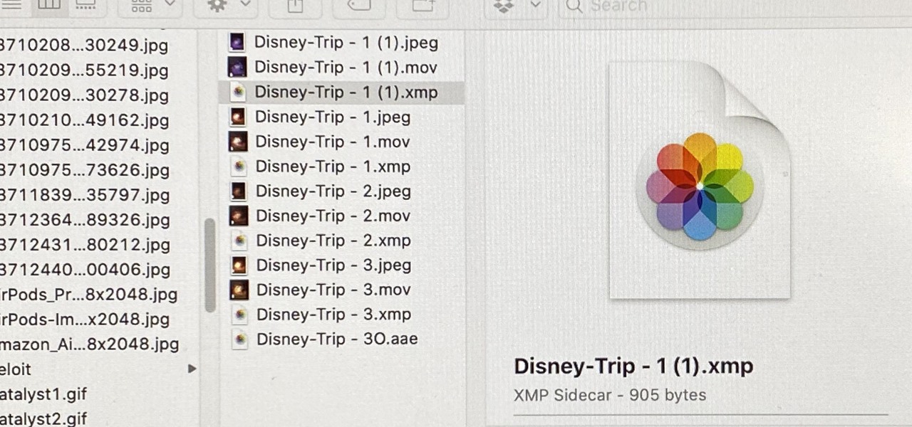 Export Your Original Images, Live Photo Videos & Metadata in Apple Photos for Mac