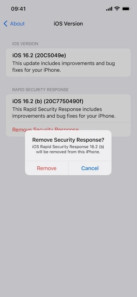 How to Uninstall Specific Software Updates on Your iPhone When You Have Performance Issues