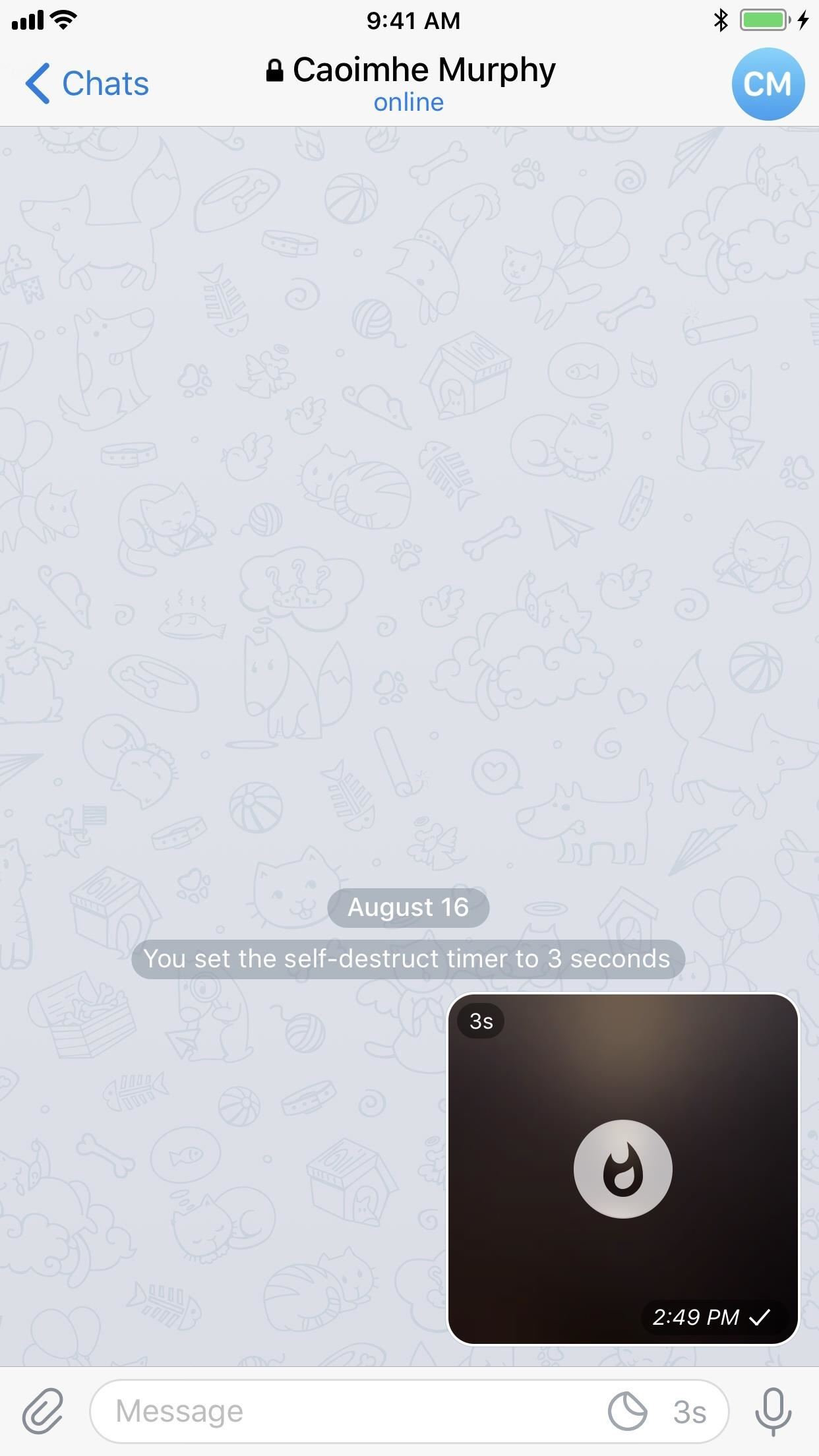 Telegram 101: How to Send Self-Destructing Messages in Chats