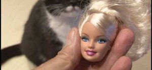 Extract a spy quality camera & mini-DVR from a Barbie Video Girl fashion doll