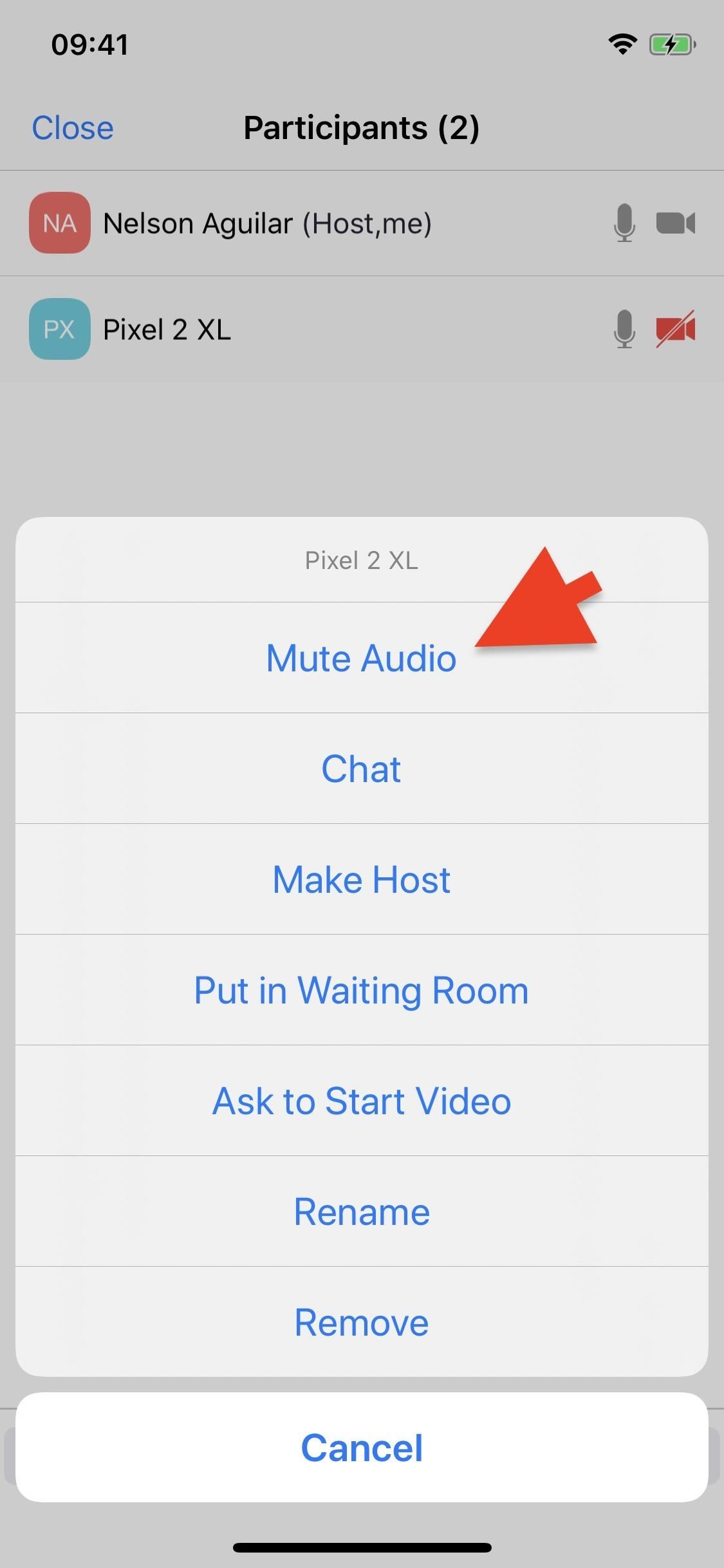 8 Different Ways to Mute Someone on Zoom That's Disturbing Your Video Meeting