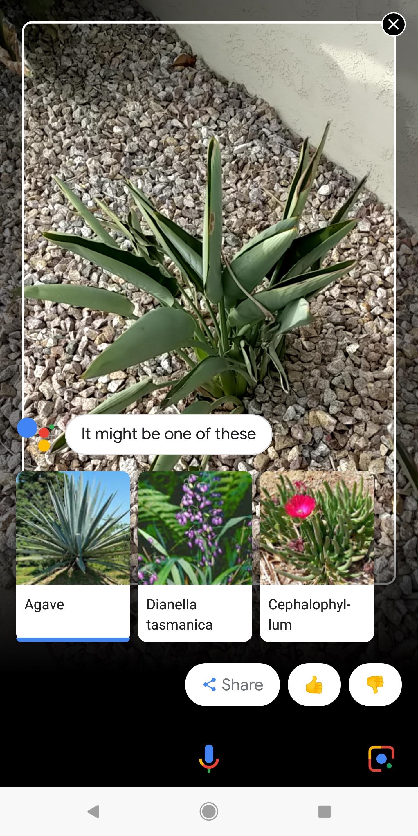 拍一拍就能掌握資訊、進行翻譯：所有 Android 手機現可使用 Google Lens；趕快來了解更多功吧！ 2